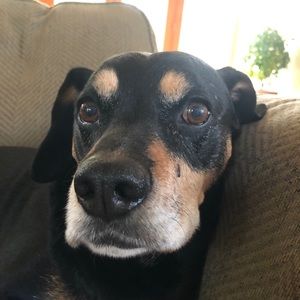 Meet your Posher, Alec